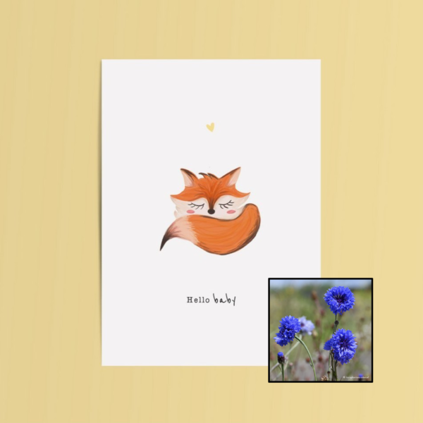 Hello Baby | Bloemenzaad
