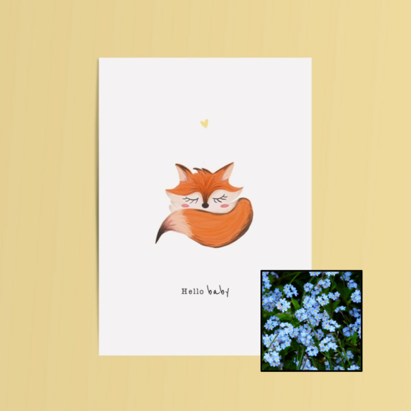 Hello Baby | Bloemenzaad