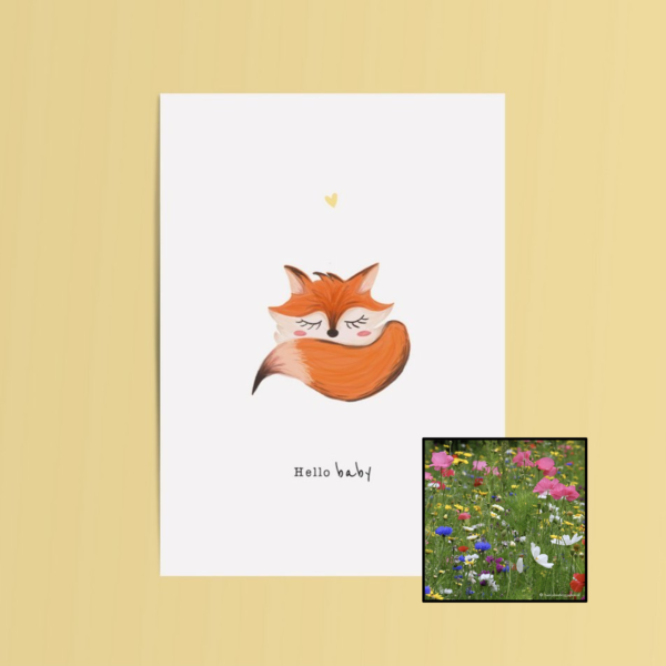 Hello Baby | Bloemenzaad