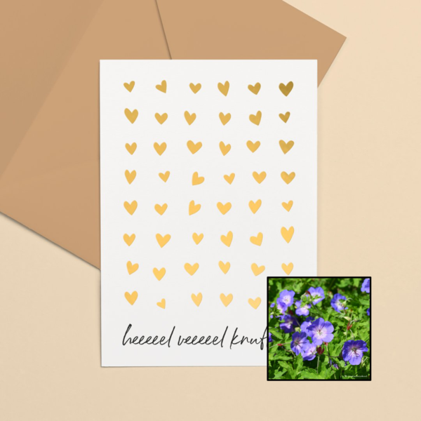 Knuffels | Bloemenzaad