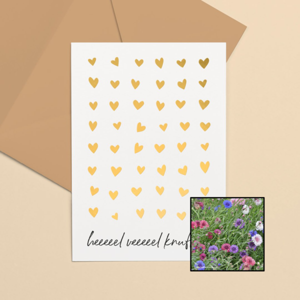 korenbloemen kleurenmix bloemenzaad