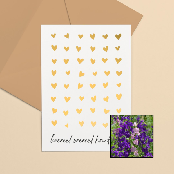 ridderspoor kleurenmix bloemenzaad