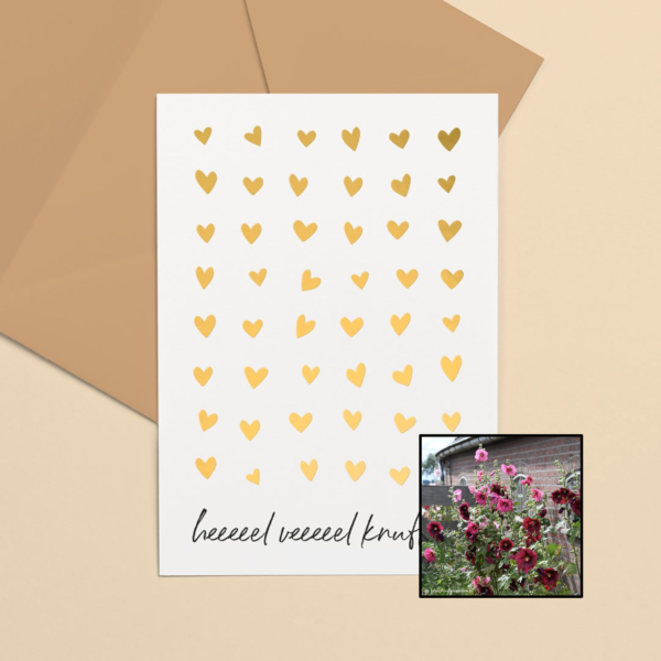 stokrozen kleurenmix bloemenzaad