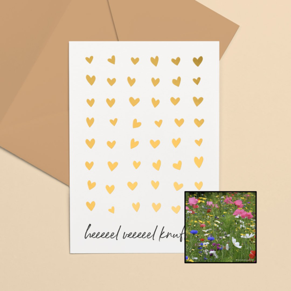 weidebloemenmix bloemenzaad