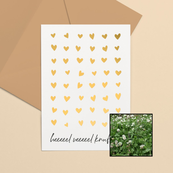 witte klaver bloemenzaad