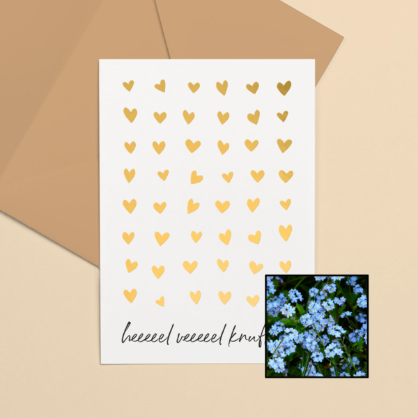 vergeet mij nietjes bloemenzaad