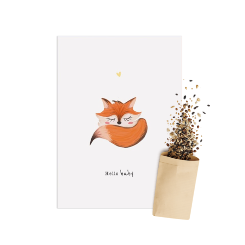 Hello Baby | Bloemenzaad