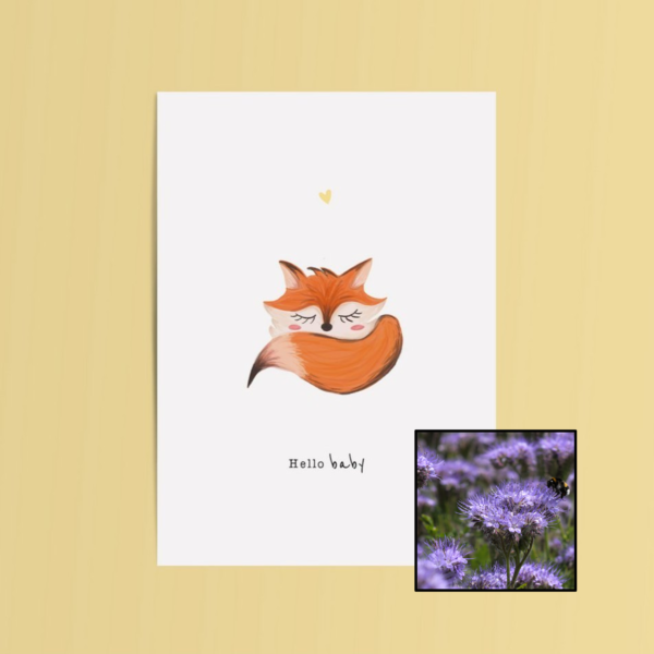Hello Baby wenskaart met bloemenzaad met bijenvoer
