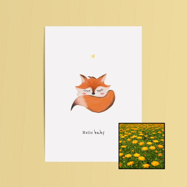 Hello Baby wenskaart met bloemenzaad met goudsbloemen