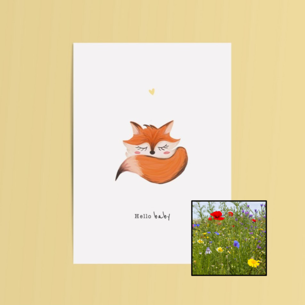 Hello Baby wenskaart met bloemenzaad met inheemse bloemenmix
