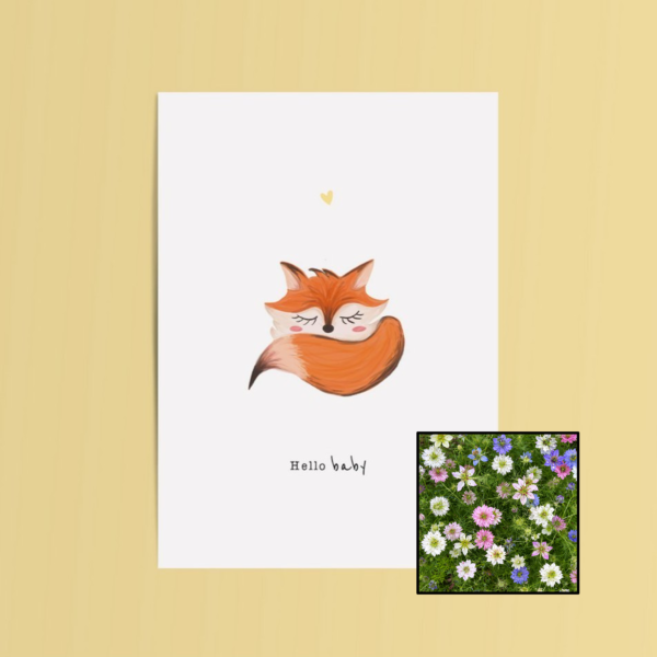 Hello Baby wenskaart met bloemenzaad met juffertje-in-het-groen