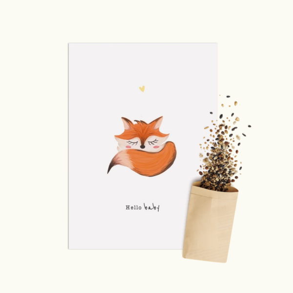 Hello Baby wenskaart met bloemenzaad van Bloei-post