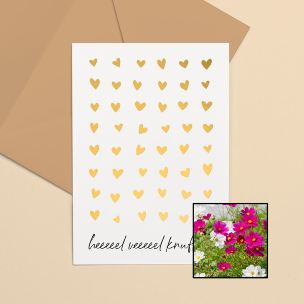 Knuffels wenskaart met bloemenzaad met cosmea