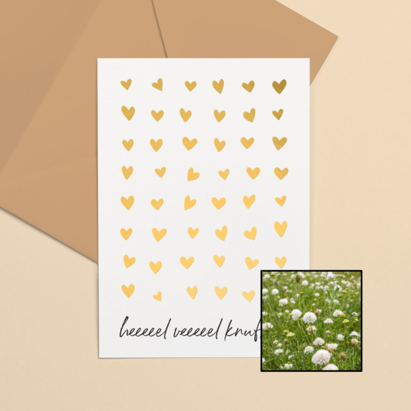 Knuffels wenskaart met bloemenzaad met duifkruid