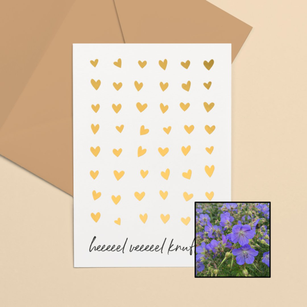 Knuffels wenskaart met bloemenzaad met geranium