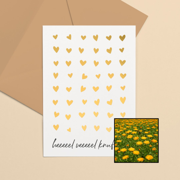 Knuffels wenskaart met bloemenzaad met goudsbloemen