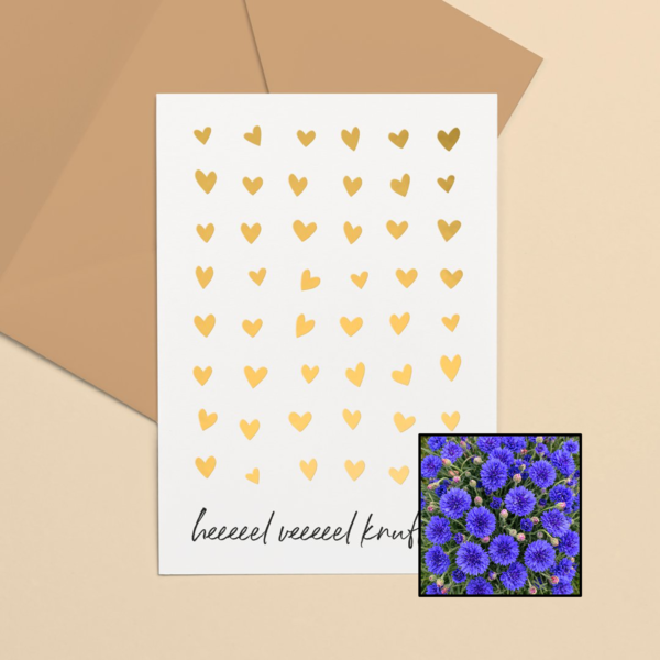 Knuffels wenskaart met bloemenzaad met korenbloemen blauw