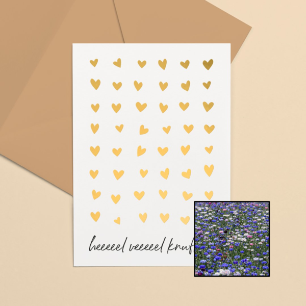 Knuffels wenskaart met bloemenzaad met korenbloemen mix