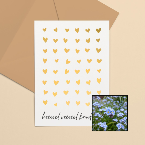 Knuffels wenskaart met bloemenzaad met vergeet-mij-nietjes