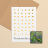 Knuffels wenskaart met bloemenzaad met weidebloemenmix