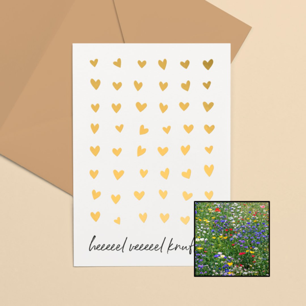 Knuffels wenskaart met bloemenzaad met weidebloemenmix