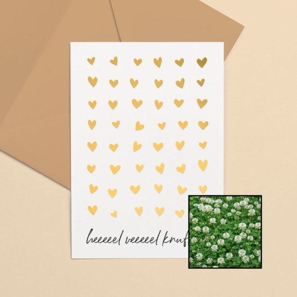 Knuffels wenskaart met bloemenzaad met witte klaver