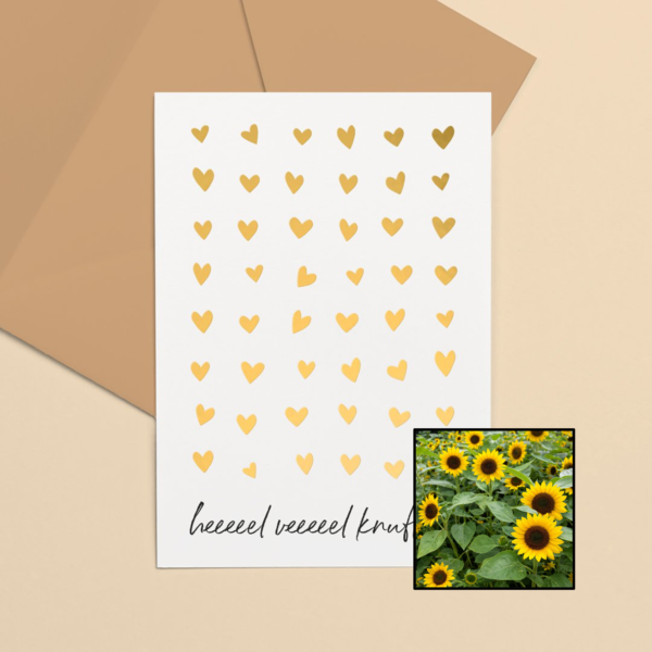 Knuffels wenskaart met bloemenzaad met zonnebloemen